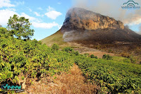 Fogo na Serra da Bocaína