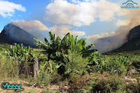 Fogo na Serra da Bocaína