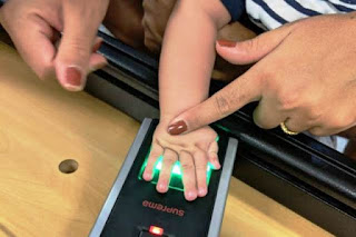 Biometria em bebês