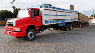 PRF recupera 18 cabeças de gado furtadas de fazendas da região da Chapada Diamantina