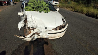 Carro da prefeitura de Utinga desce ribanceira após batida na BR-131
