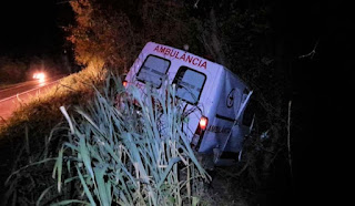 Ambulância de Ourolândia atinge vaca e sai da pista na BR-324