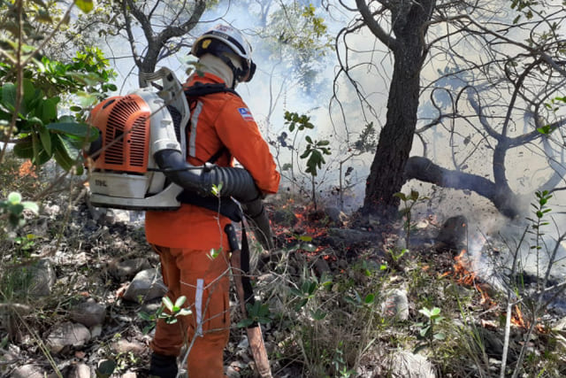 Bombeiros monitoram incêndios que atingem Chapada e Sul da Bahia