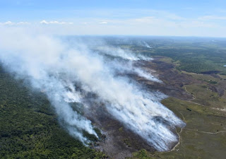 SSP reforça equipes de combate a incêndio em Arraial d'Ajuda