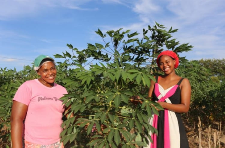 Mulheres rurais baianas mostram força do trabalho da agricultura familiar