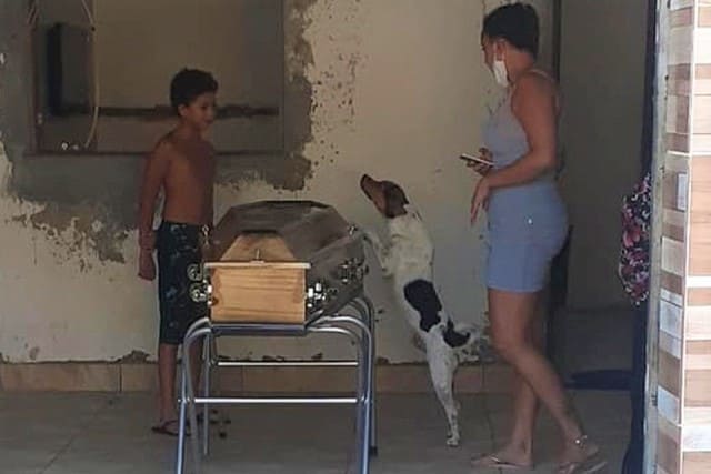 Cachorro chora e acompanha velório da dona ao lado do caixão na Bahia