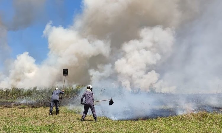 Bombeiros controlaram incêndio no Parque Lagoa das Bateias, em Vitória da Conquista