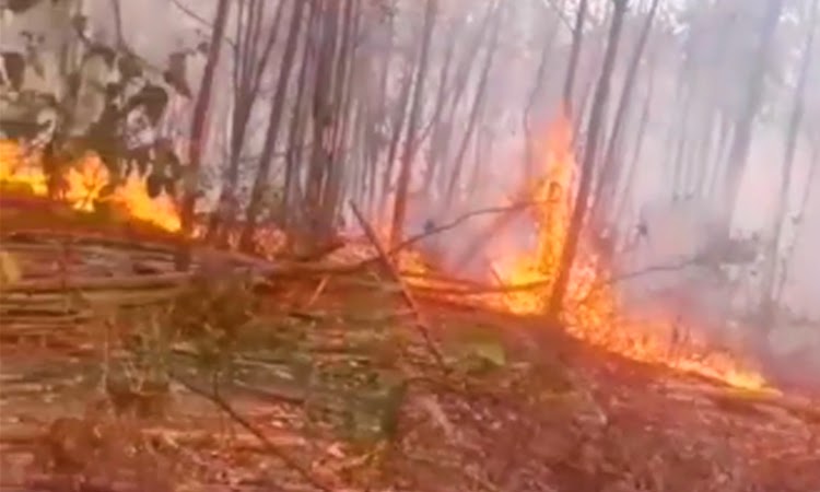 Corpo de Bombeiros controla dois focos de queimada no Sudoeste da Bahia