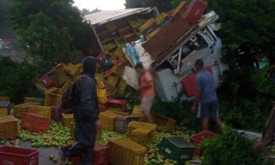 Caminhão carregado com tomates perde o freio e invade jardim, em Ituaçu