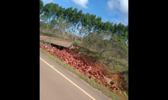 Caminhoneiro de 28 anos morre em acidente no trevo entre Ibicoara e Barra da Estiva