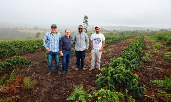 Novas estufas de café vão ampliar produção da agricultura familiar em Planalto