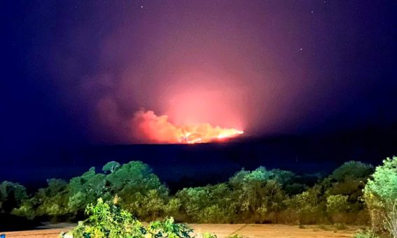 Incêndio de grandes proporções atinge Ituaçu na Chapada Diamantina