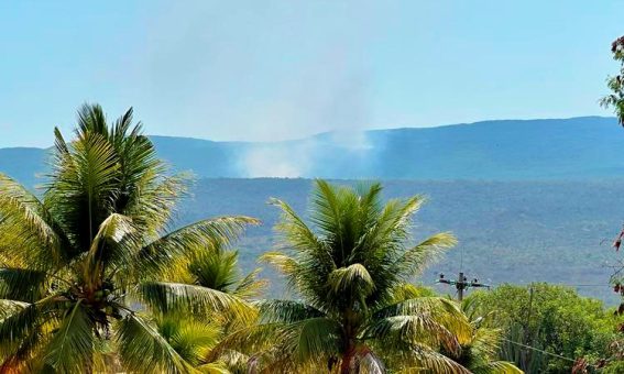 Incêndio de grandes proporções atinge Ituaçu na Chapada Diamantina