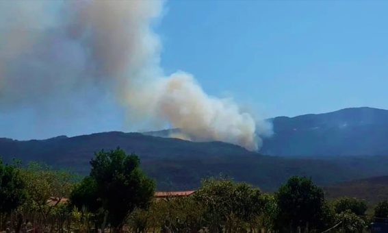 Incêndio de grandes proporções atinge Chapada Diamantina