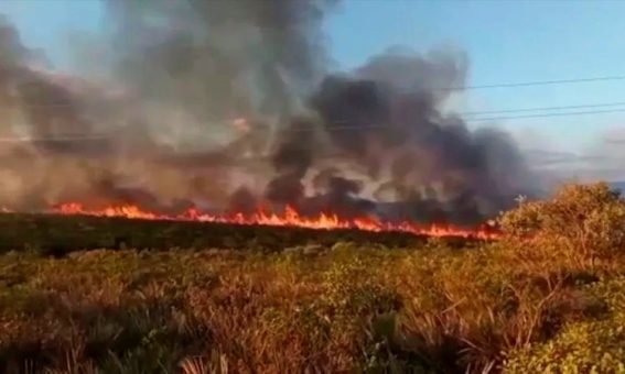 Incêndio de grandes proporções destrói mais de 500 hectares de vegetação no Sudoeste da Bahia