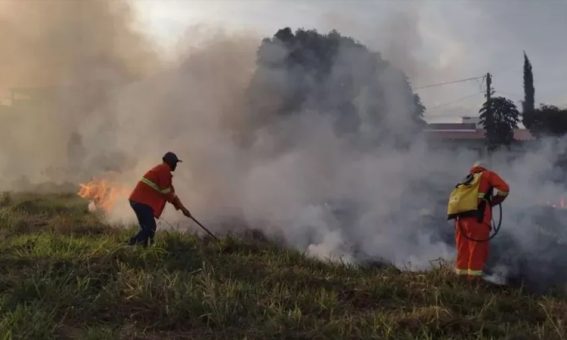 Mais de 1.500 queimadas foram registradas no Sudoeste da Bahia este ano