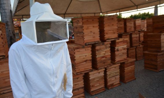 Agricultores familiares comemoram chegada de kits produtivos para apicultura e bovinocultura de leite em Iaçu