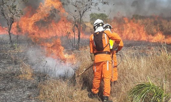 Operação de prevenção e combate aos incêndios florestais ganha reforço de novos bombeiros militares