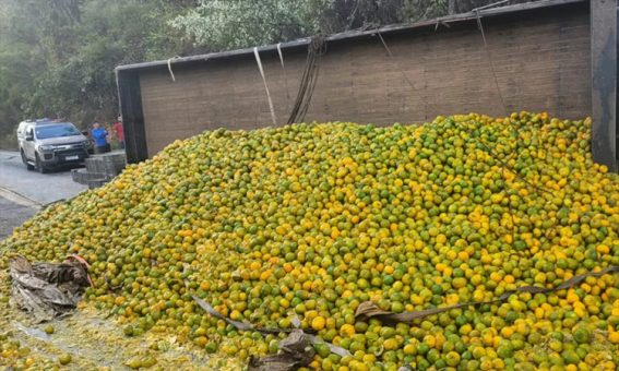 Caminhão carregado de frutas perde controle e tomba na Chapada Diamantina