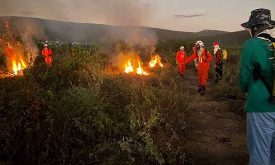 Voluntários de Ituaçu são capacitados para prevenção e combate a incêndios florestais
