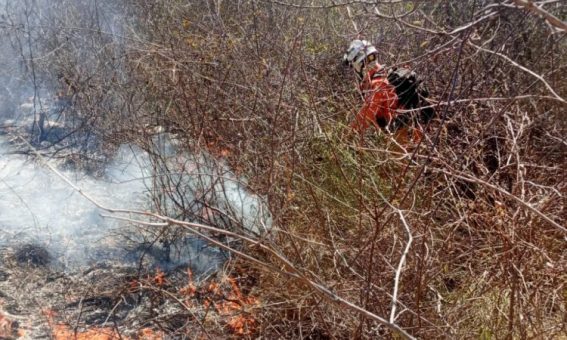 Programa Bahia Sem Fogo reforça combate aos incêndios florestais no estado