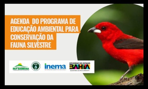 Ruy Barbosa sedia Semana de Conservação da Fauna Silvestre