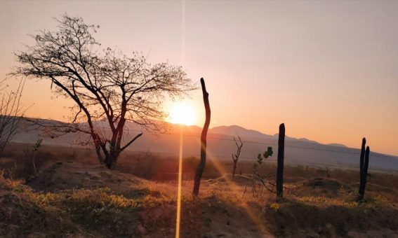 Cidades na Bahia têm clima de deserto com temperaturas acima dos 40ºC