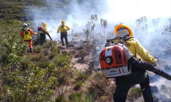 Bombeiros e brigadistas voluntários atuam no combate a incêndios florestais no interior da Bahia