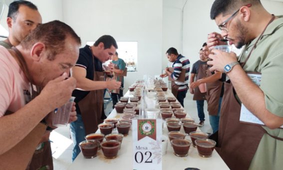 Concurso de Qualidade do Café de Barra do Choça impulsiona a produção de cafés de excelência na região
