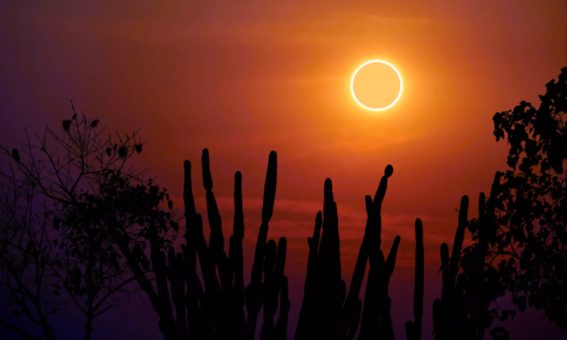 Eclipse anular do sol neste sábado poderá ser visto do Brasil