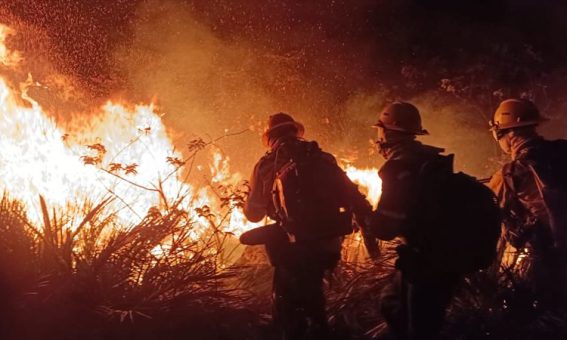 Bombeiros e brigadistas unem forças contra o incêndio em Ituaçu