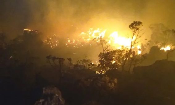 Incêndio de grande proporção atinge área de vegetação em Rio de Contas