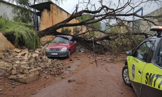 Árvore cai e atinge carro após chuva e rajadas de vento em Brumado