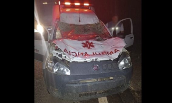 Animal na pista provoca acidente com ambulância na região do Sudoeste da Bahia